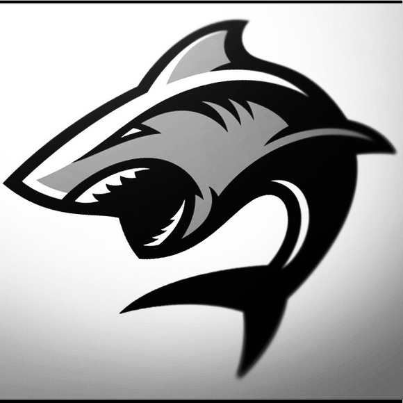 graysharki2